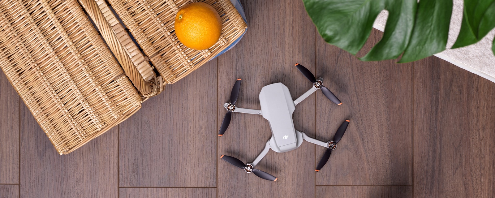 Mavic Mini 2 trimmed download