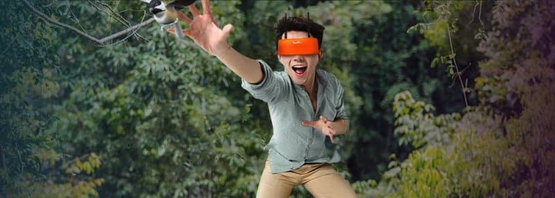 Immersive fly